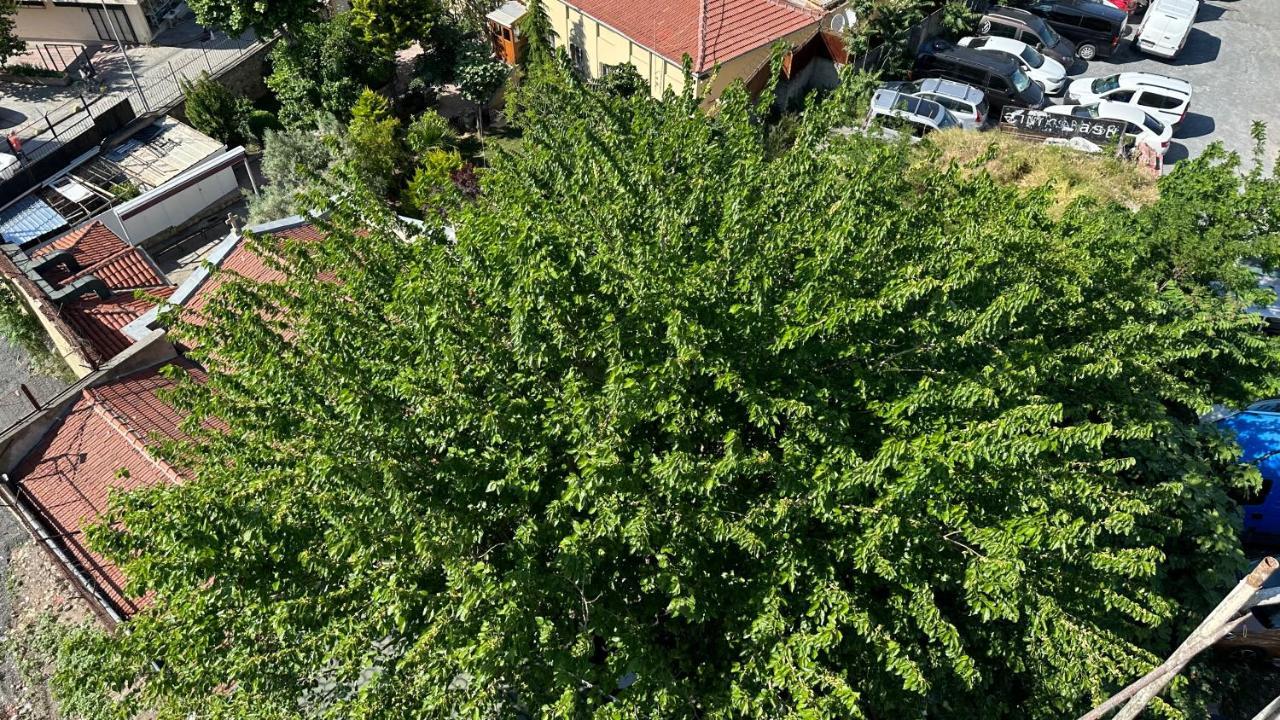 Mar Boutique Apartment Istanbul Exterior foto